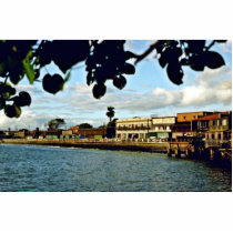 Lahaina - Maui Acrylic Cut Out