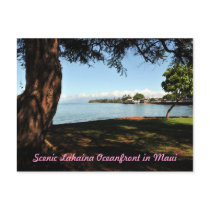 Lahaina Maui Scenic Postcard