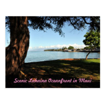 Lahaina Maui Scenic Postcard