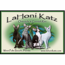 Lahoni Magnet Acrylic Cut Outs