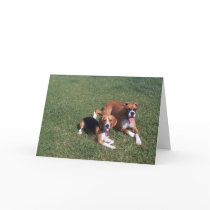 Laid Back cards by Skinnyhuen Laid Back cards
