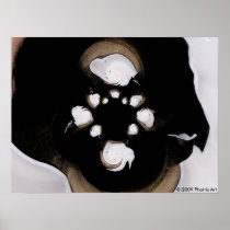 Lait de Coco II posters