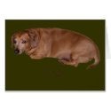 Lakay Greeting Card