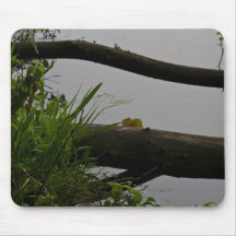 lake-2012-05-26 mouse pad