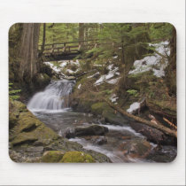 Lake 22 Trail mousepads