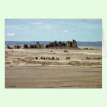 Lake Abbe cards