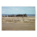 Lake Abbe Greeting Cards