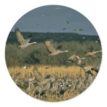 Lake Andes National Wildlife Refuge Round Sticker
