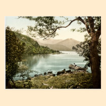 Lake at Innisfallen Killarney Ireland Postcard