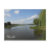 postcard, post card, post, card, florida, orlando,