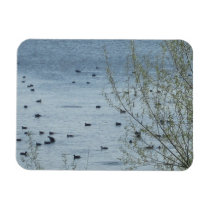 Lake Birds Flexible Magnet
