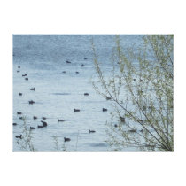 Lake Birds Photograph on Canvas Canvas Print