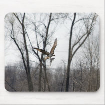 Lake Champlain Osprey Mousepad