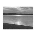 Lake Champlain Sunset postcards