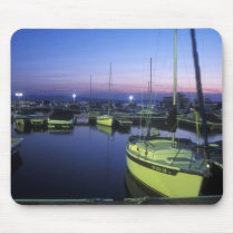 Lake Champlain Waterfront mousepads