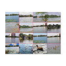 Lake Collage Postcard by squirrel27 Lake Collage Postcard