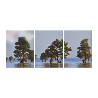 Lake Cypress Landscape Canvas Prirnt