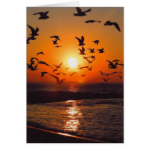 Lake Erie Sunset Greeting Cards