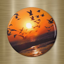 Lake Erie Sunset magnets