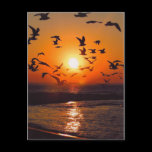 Lake Erie Sunset