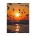 Lake Erie Sunset postcards by annaleeblysse Lake Erie Sunset postcards