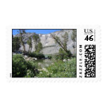 Lake flowers postage stamp