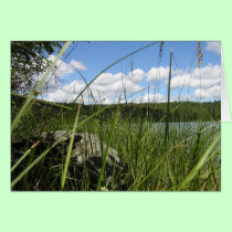 Lake grass cards