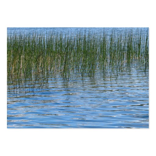Lake Grasses Business Card Template (front side)