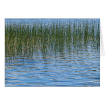 Lake Grasses Greeting Card