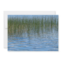 Lake Grasses Custom Announcement