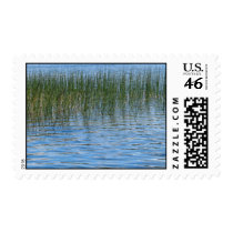 Lake Grasses Postage