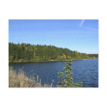 Lake in the woods postcards
