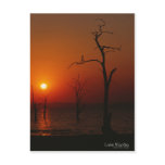 Lake Kariba Sunset Postcard