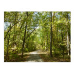Lake Kittamaquandi Trail Postcard