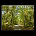 Lake Kittamaquandi Trail Postcard