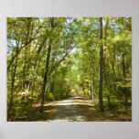 Lake Kittamaquandi Trail Poster Print