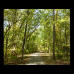 Lake Kittamaquandi Trail Poster Print