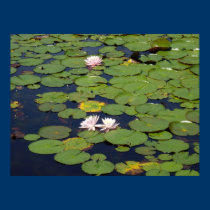 lake lenape, Delaware Water Gap, {a posters