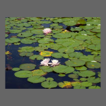 lake lenape, Delaware Water Gap, {a posters