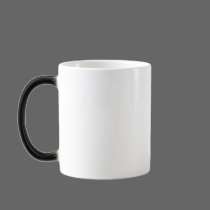 lake lenape,Delaware Water Gap, Pa mugs