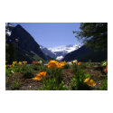 Lake Louise posters