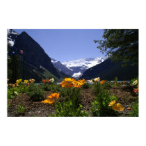 Lake Louise posters by rbozek Lake Louise posters