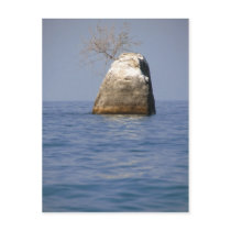 Lake Malawi postcards