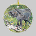 Lake Manyara Safari Ornaments ornaments