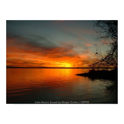Lake Marion Sunset Posters by moxieann