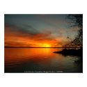 Lake Marion Sunset posters