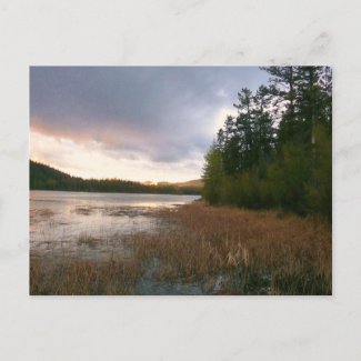 Lake Marsh Landscape postcard