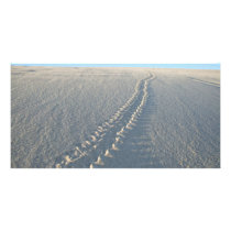 Lake McConaughy photo cards