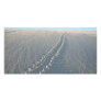 Lake McConaughy Picture Card