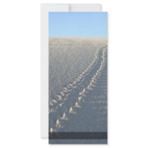 Lake McConaughy Rack Card